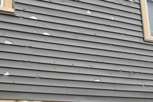 Best Custom Trim and Detailing for Siding  in Franklin Center, NJ